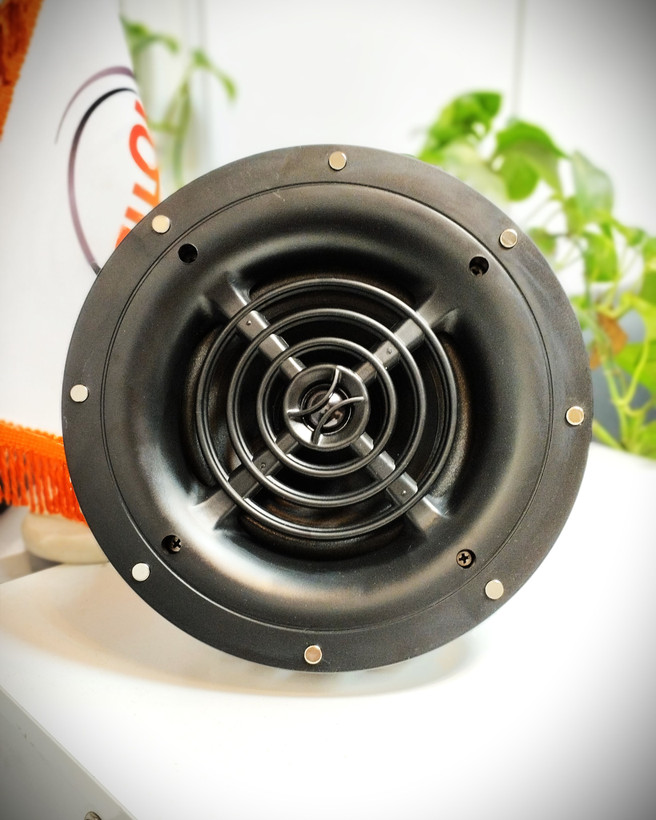 بلندگو | اسپیکر سقفی آسیا آمپ AAP PRO DS-6V