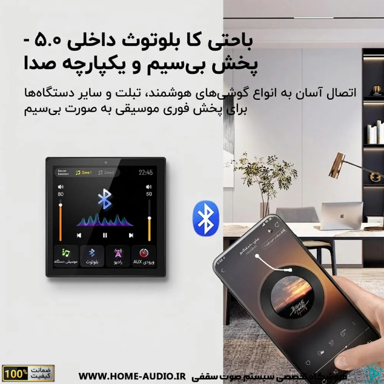 آمپلی فایر برند نایس وویس پرو مدل NICE VOICE A PRO