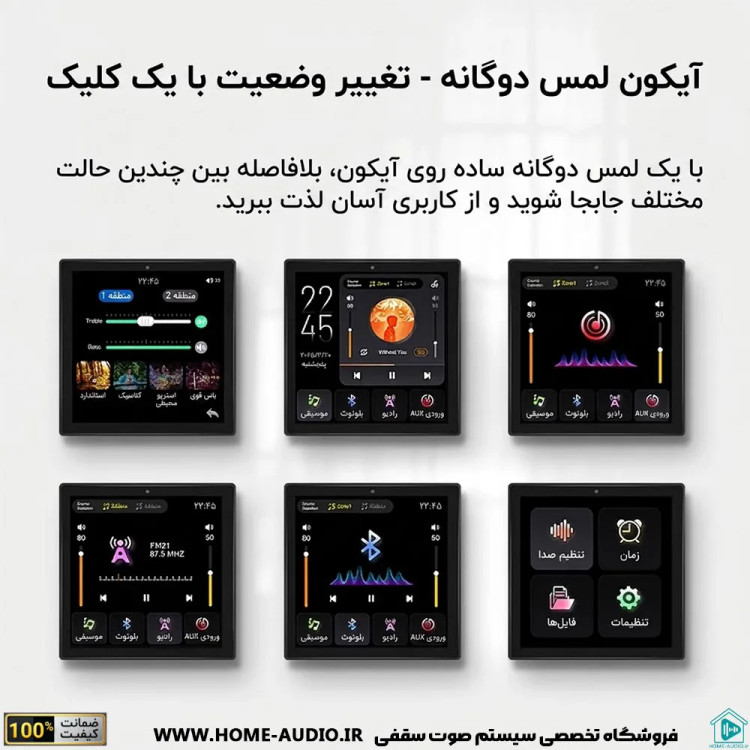 آمپلی فایر برند نایس وویس پرو مدل NICE VOICE A PRO