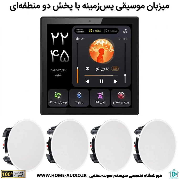آمپلی فایر برند نایس وویس پرو مدل NICE VOICE A PRO
