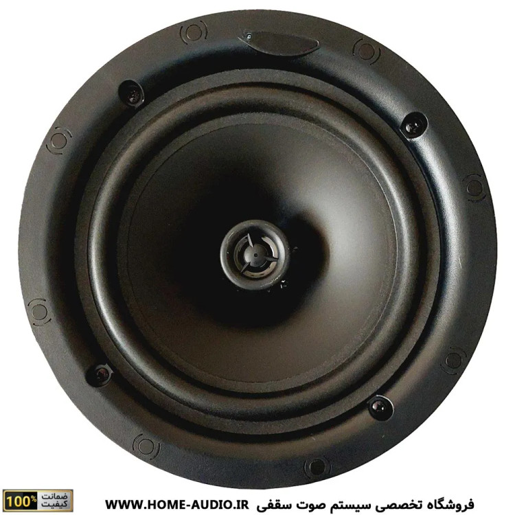 اسپیکر سقفی نایس وویس مدل TW530