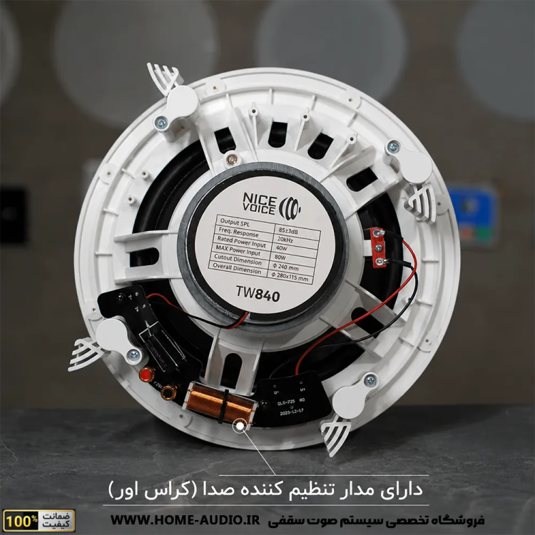 مجموعه 4 تایی بلندگو سقفی بلوتوثی نایس وویس مدل TW840