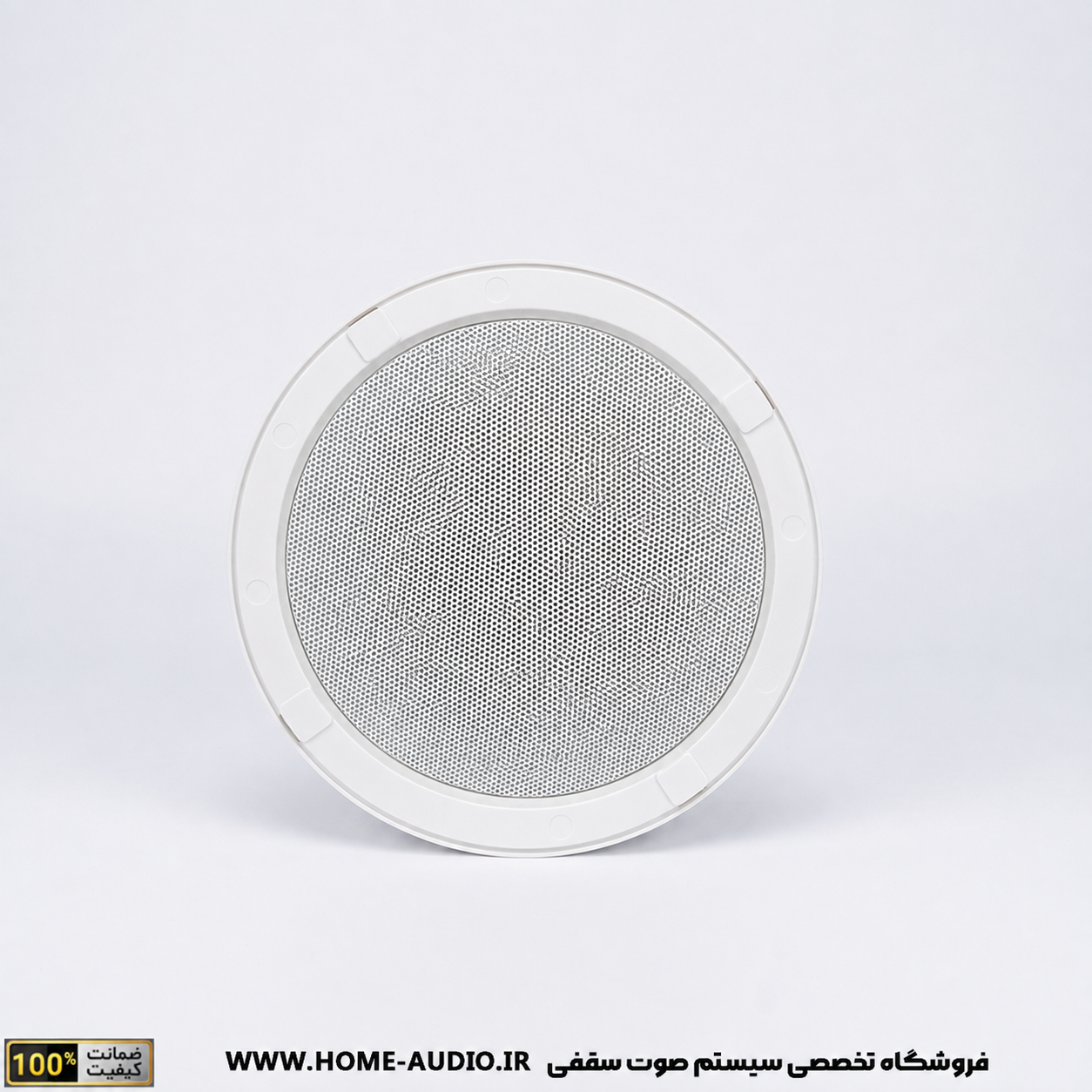 اسپیکر سقفی نایس ویس مدل Control 6