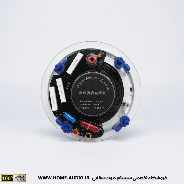 اسپیکر سقفی نایس ویس مدل Control 6