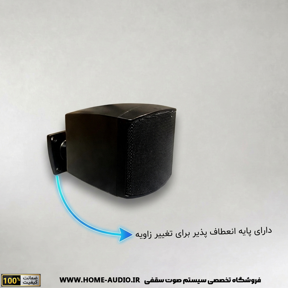 اسپیکر دکوراتیو نایس ویس مدل Compact 3