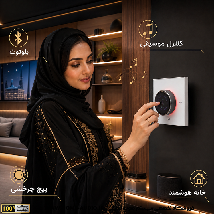 آمپلی فایری نایس ویس مدل AV4