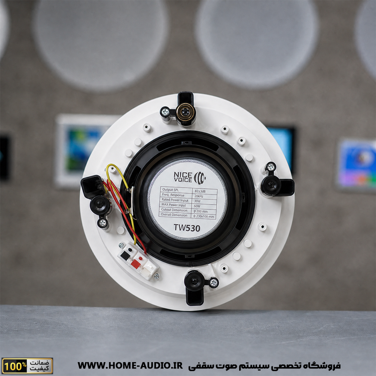 پکیج اسپیکر سقفی نایس ویس مدل TW530 به همراه آمپلی فایر نایس ویس مدل AV 4