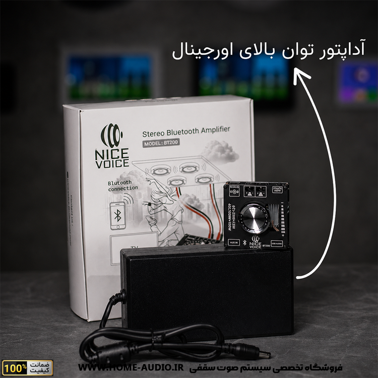 آمپلی فایر توکار بلوتوثی نایس ویس BT200