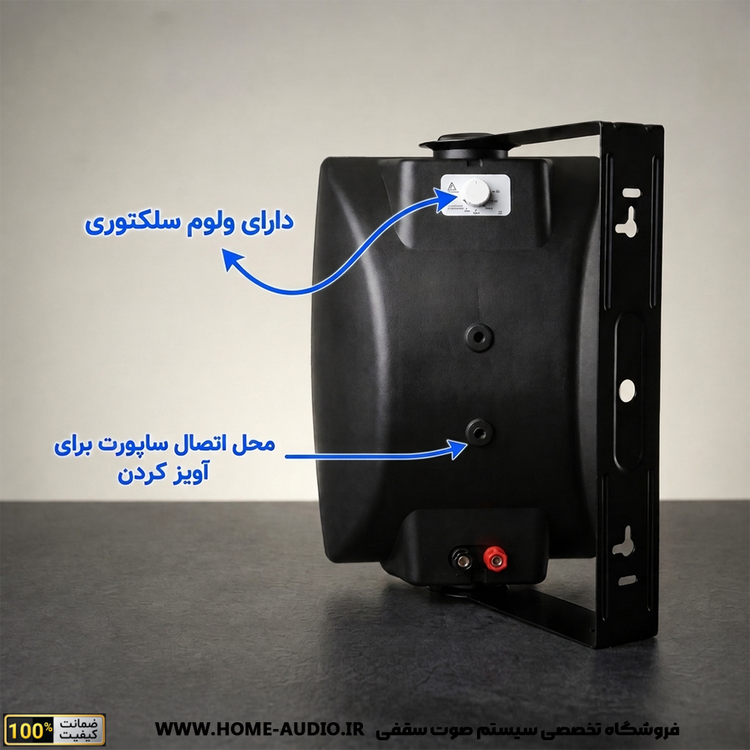 اسپیکر دکوراتیو برند نایس ویس مدل Compact 6